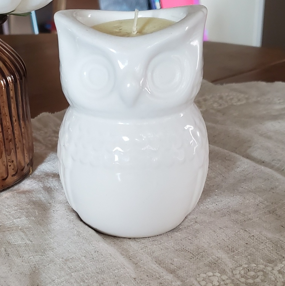 🌺Owl Candle